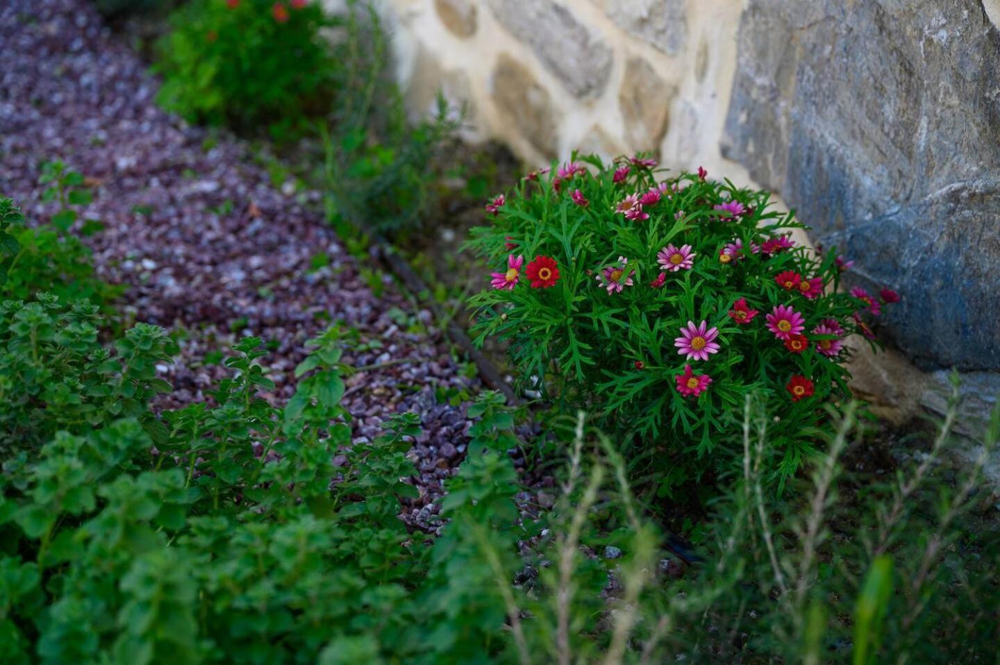 Physis Country House Near Matala Beach & Faistos Kouses Eksteriør billede